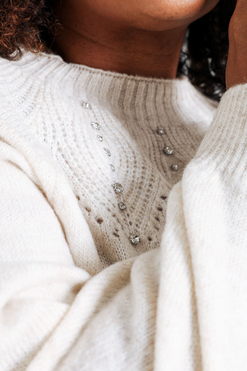 Pull palme avec strass-Paprika-6